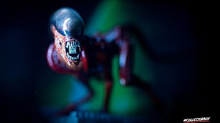 Aliens vs. Predators Experience Museum