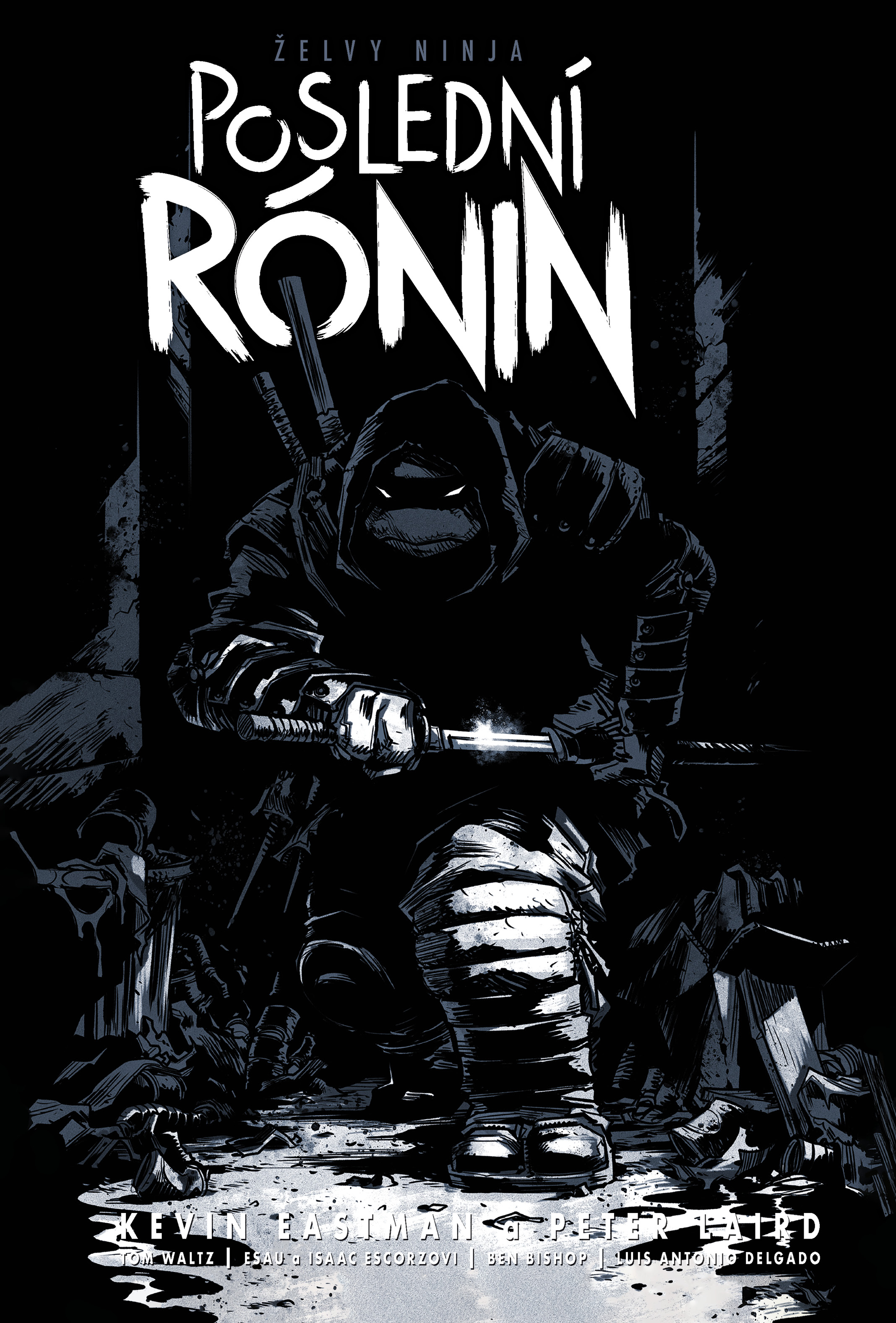 Obrázek TMNT: The Last Ronin - Cover B