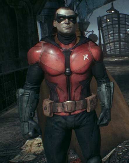 Obrázek Robin