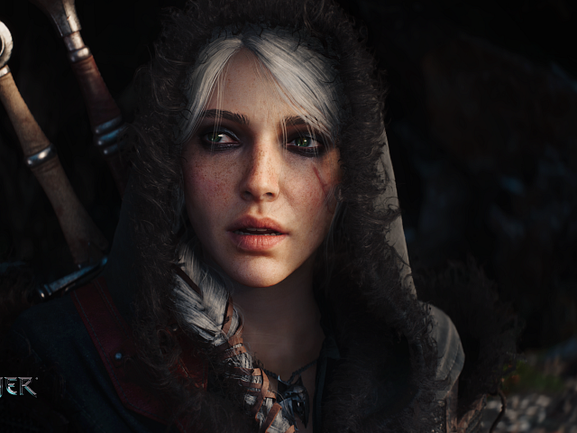 Obrázek The Witcher IV