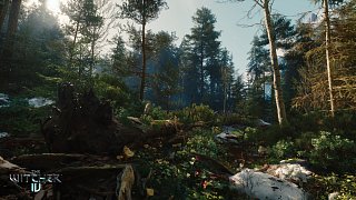 Witcher IV