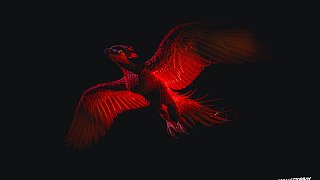 Harry Potter™: The Exhibition Prague 2026