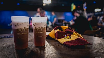 Harry Potter™: The Exhibition Prague 2026