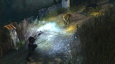 The Witcher 3: Wild Hunt - Songs of the Past (PS5)